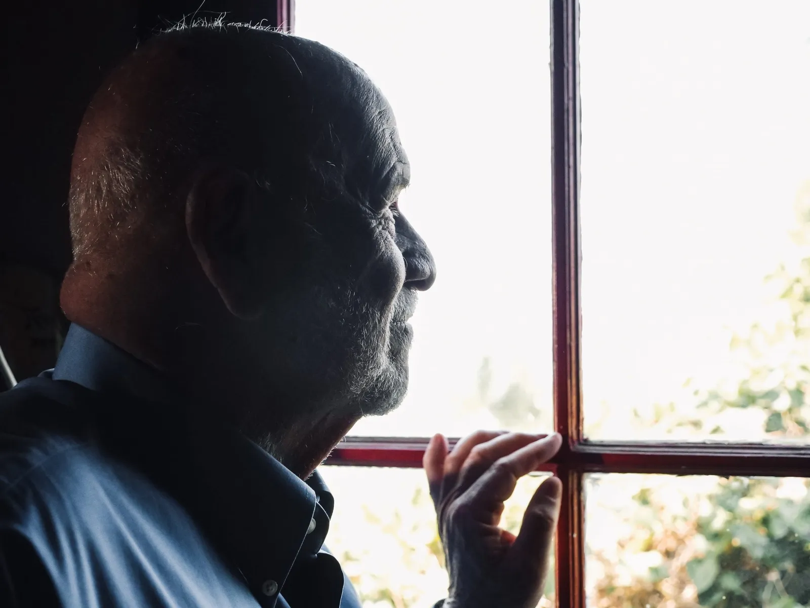 ¿Cómo prevenir la demencia?