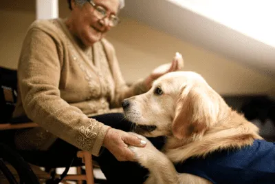 terapia con perros